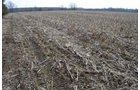 Property photo 75 - 98+/- Acres Offered in 6 Tracts or Combinations, Noble County, Indiana Farm